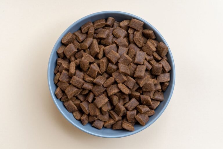 Dry dog kibble in a pastel blue bowl