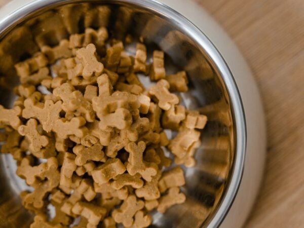 Stainless steel dog bowl with bone-shaped biscuits
