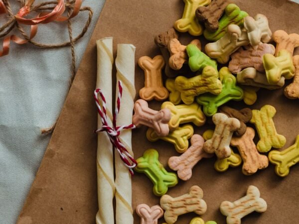 Assortment of bone-shaped dog treats on brown paper