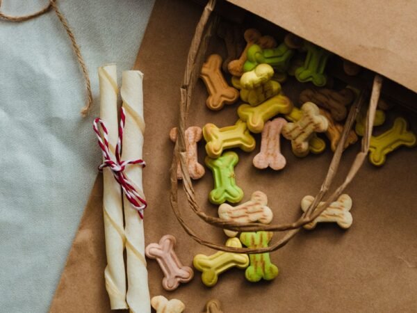 Colorful bone-shaped dog treats spilling from a paper bag