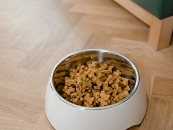 Bowl filled with dog food on a wooden floor